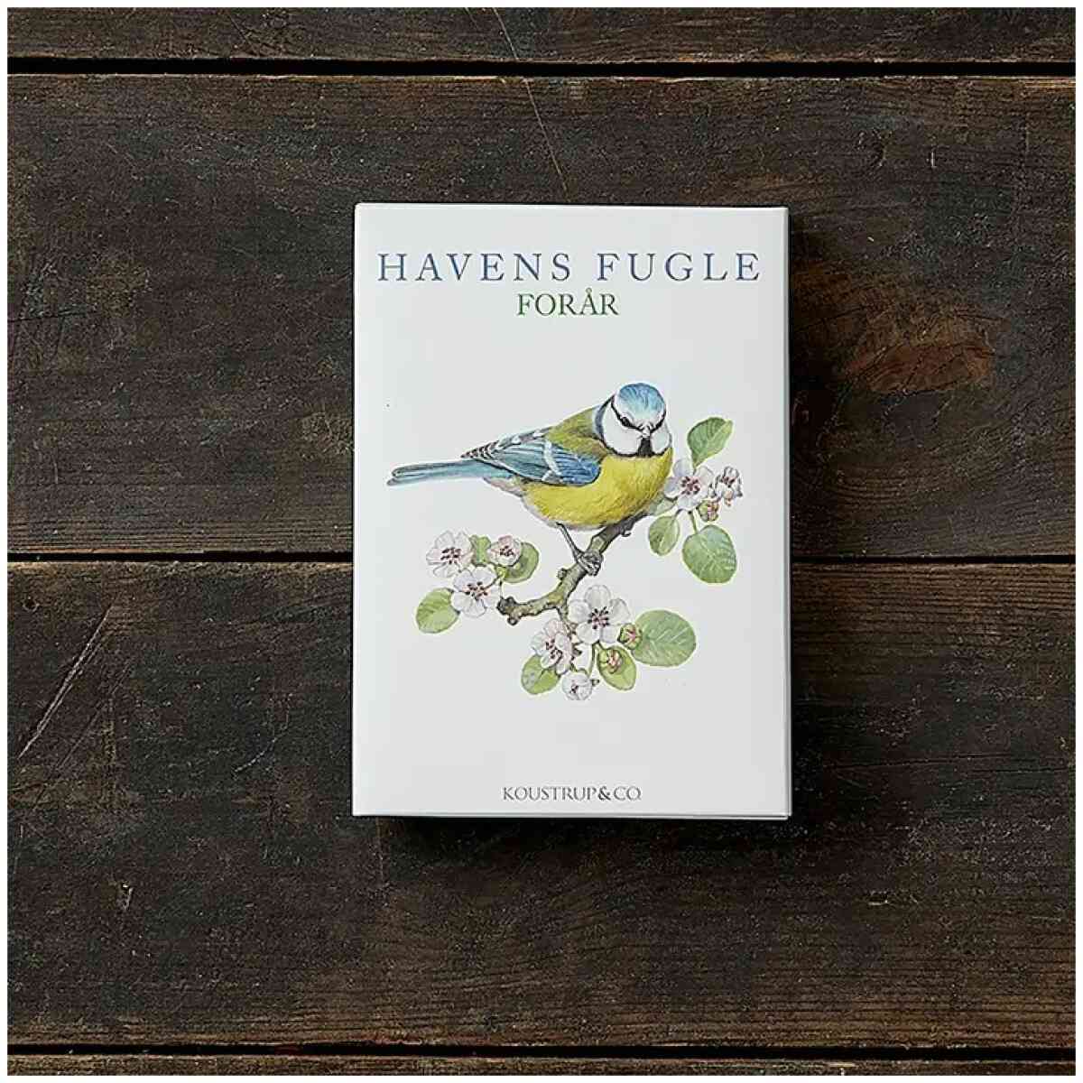 Garden Birds Spring Cardfolder- Made in Europé