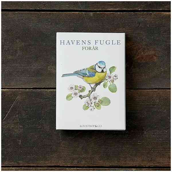 Garden Birds Spring Cardfolder- Made in Europé