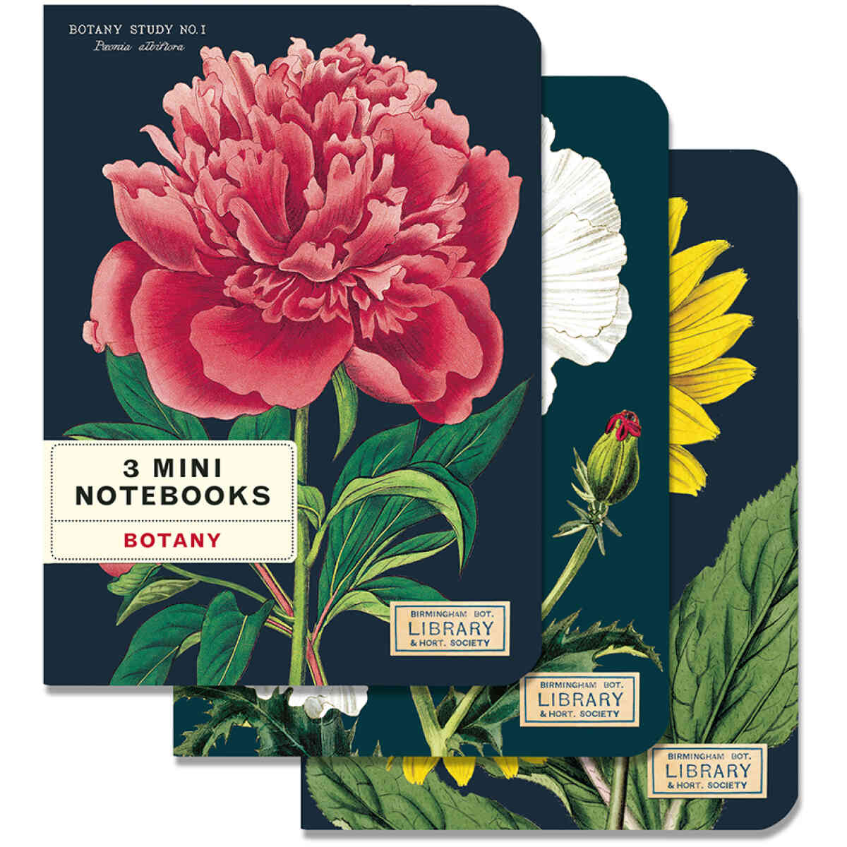 Botany Mini Notebooks 3 Mini Notebooks
