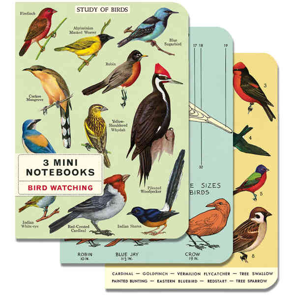 Bird Watching Mini Notebooks 3 Mini Notebooks