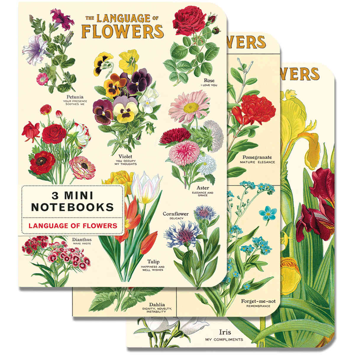 Language of Flowers Mini Notebook 3 Mini Notebooks