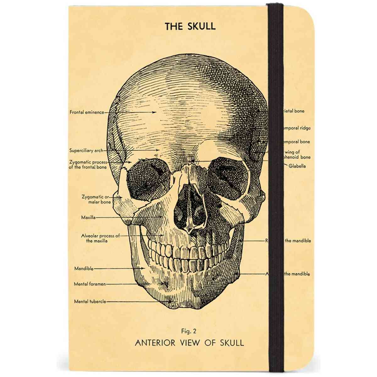 Skull Small Notebook