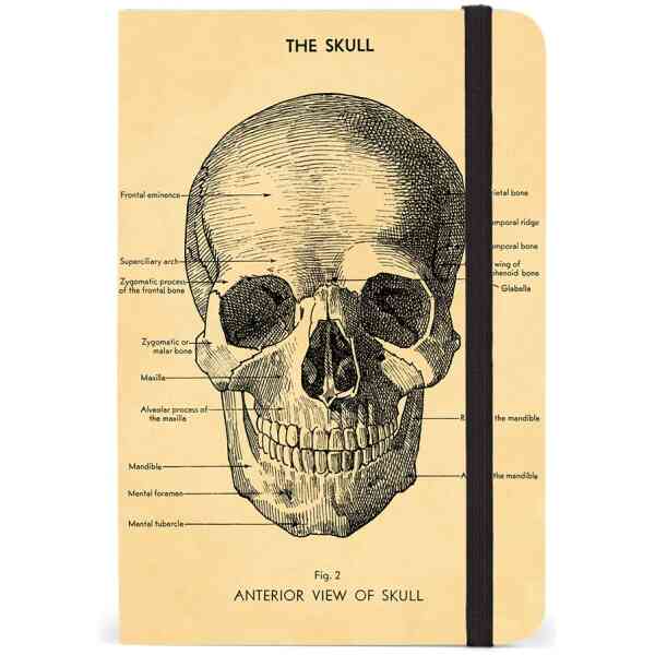 Skull Small Notebook