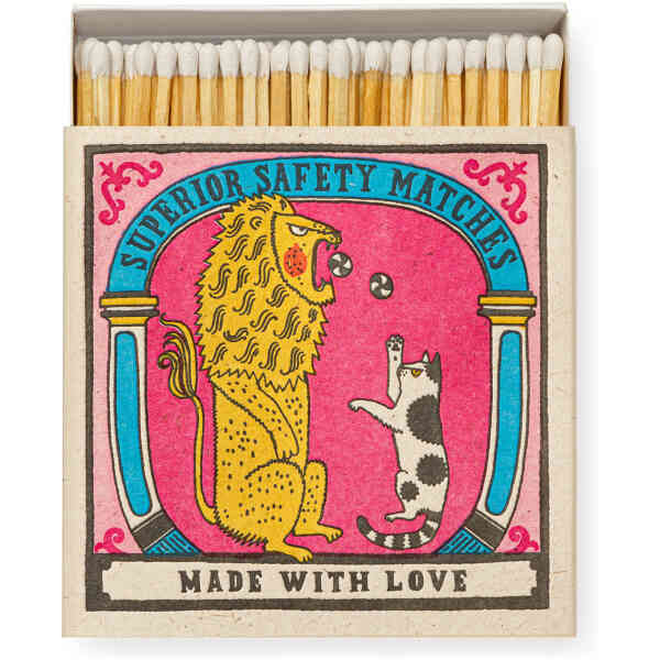 Big Cat Little Cat