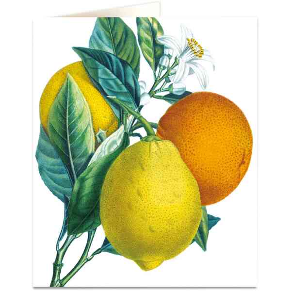 Oranges & Lemons