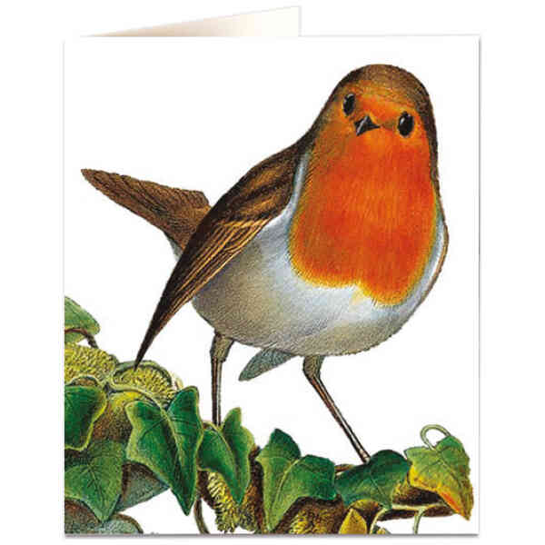 Robins