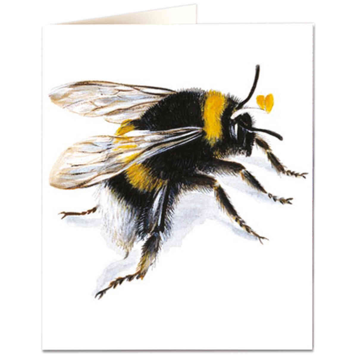 Bee Printed Card