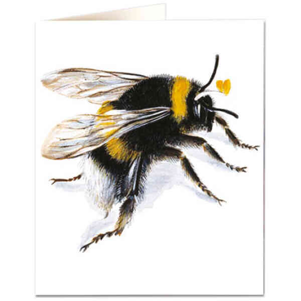 Bee Printed Card