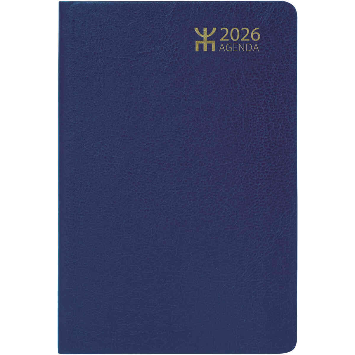 Agenda Blå Konstläder FSC