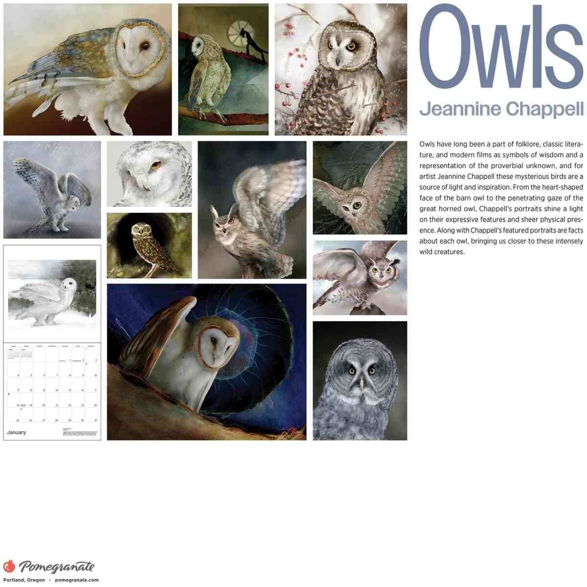 Owls: Jeannine Chappell 2026 Wall Calendar - Bild 2