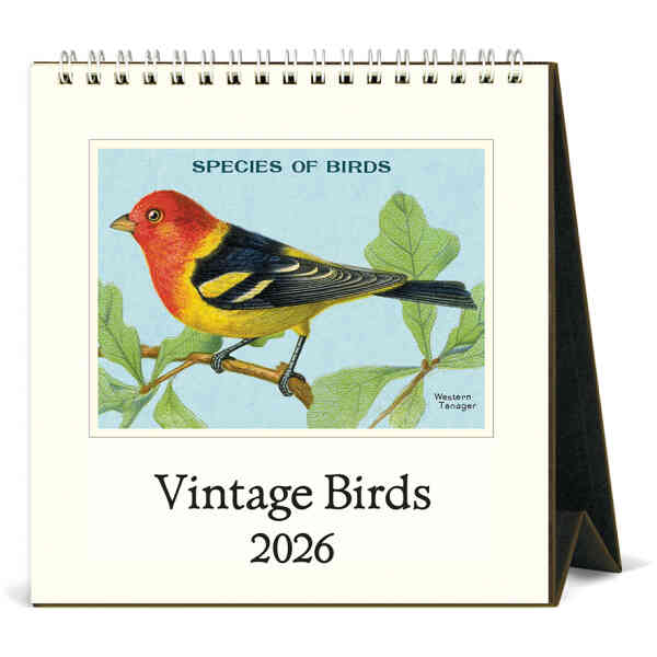 Birds Desk Calendar 2026