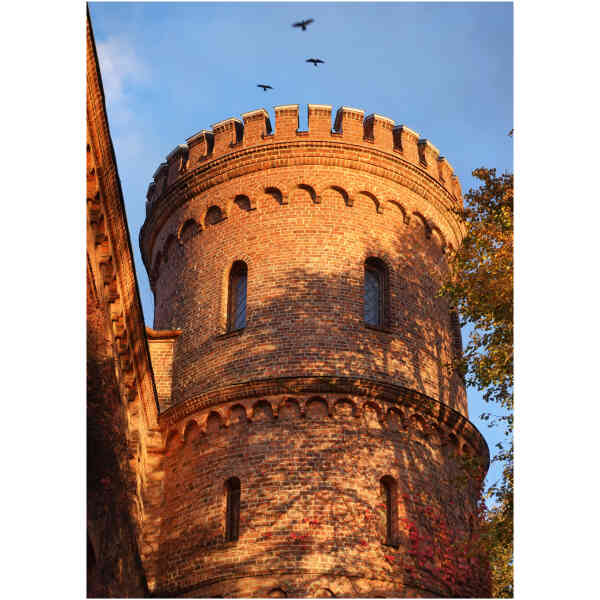 Vykort Höst kungshuset