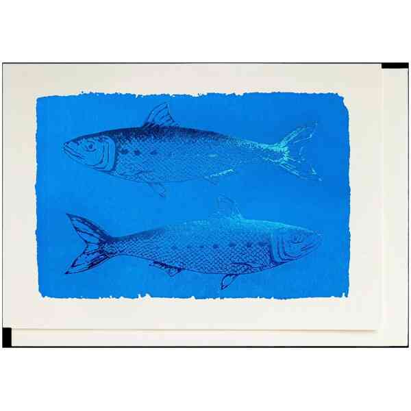 Notelets Singles Sardines