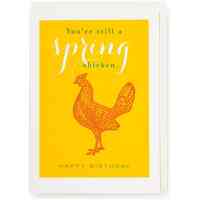 Spring Chicken