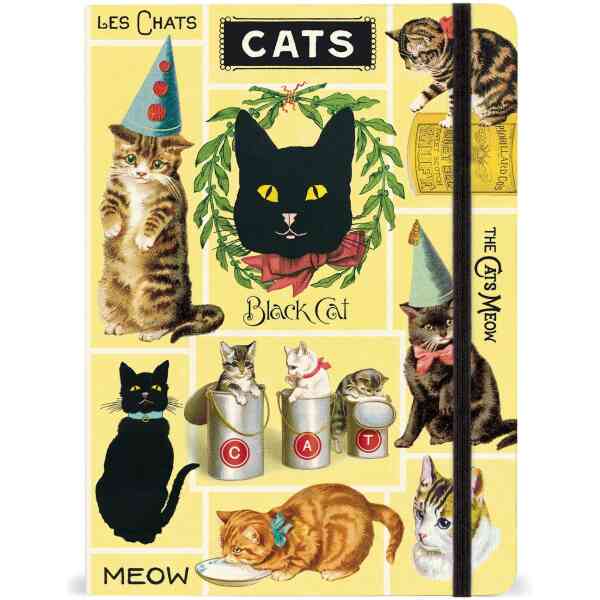Cats Large Notebook