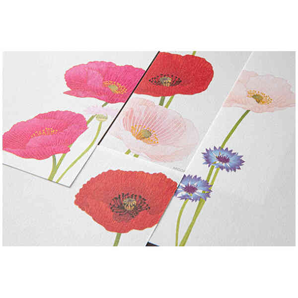 Message Letter Pad Four Designs Poppy [Spring '26]