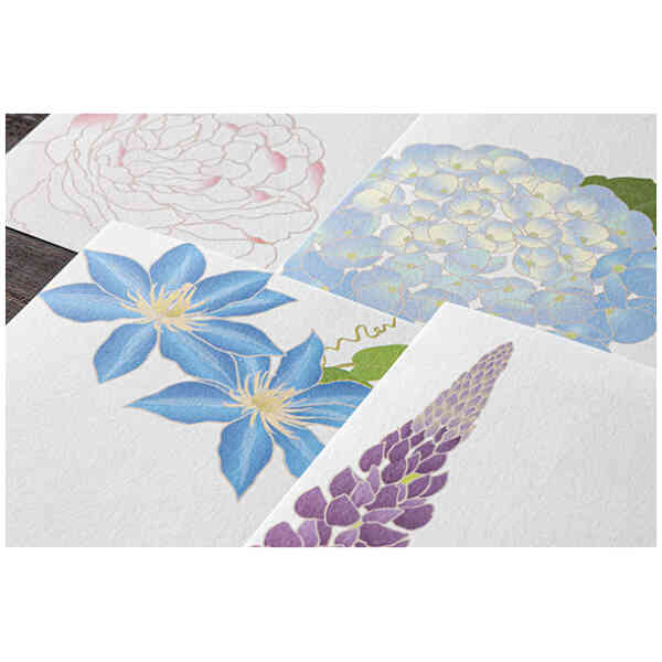 Message Letter Pad Four Designs Summer Flowers S5 [Early Summer '26]