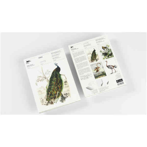 Birds – A5 Writing Paper & Note Pads