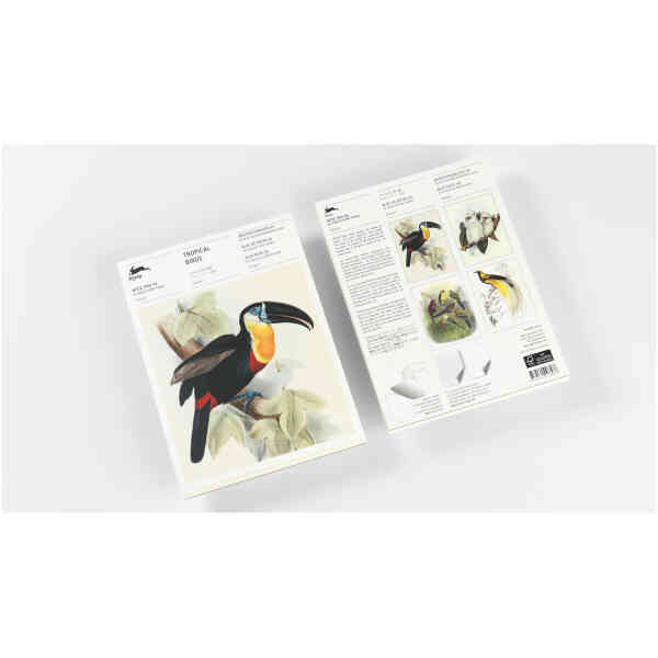 Tropical Birds – A5 Writing Paper & Note Pads