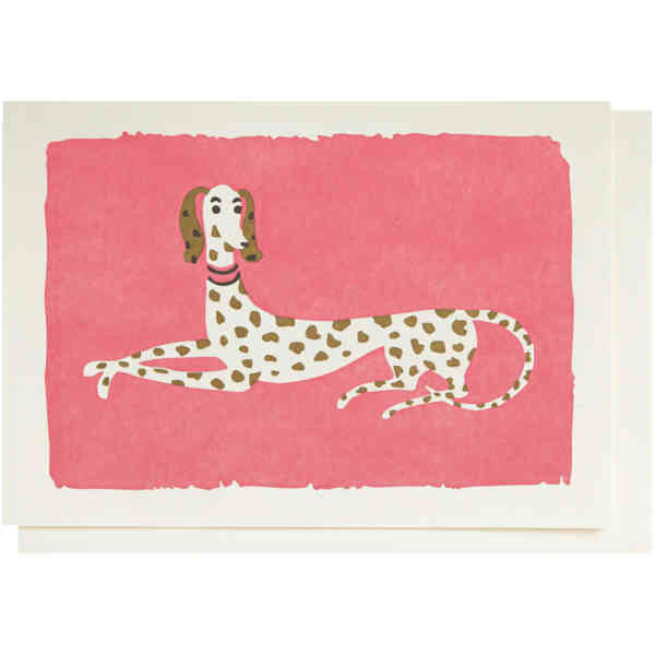 Spotty Dog