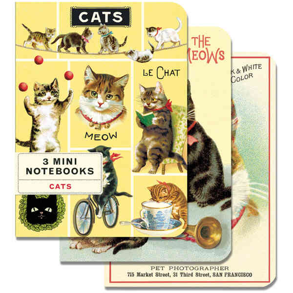 Cats Mini Notebooks 3 Mini Notebooks