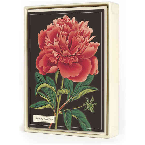 Botanica Boxed Notes