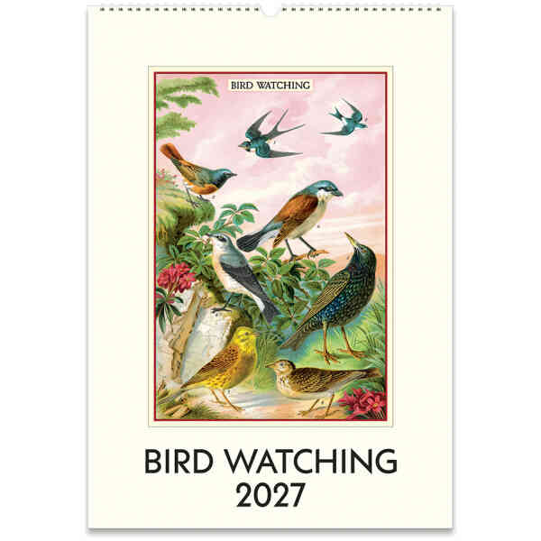 Bird Watching 2027 Wall Calendar