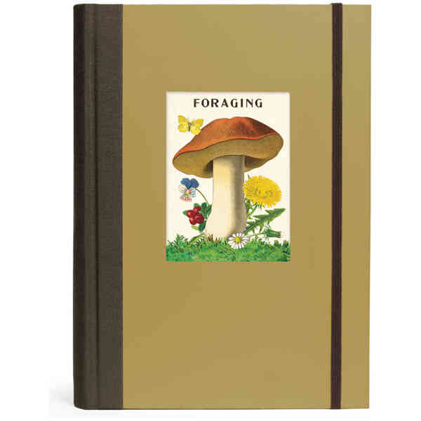 Foraging Window Journal