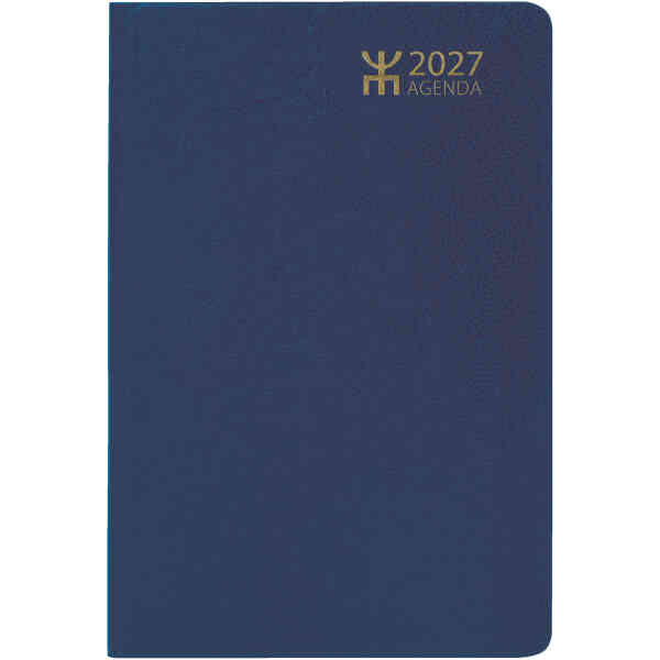 Agenda Blå Konstläder  2027