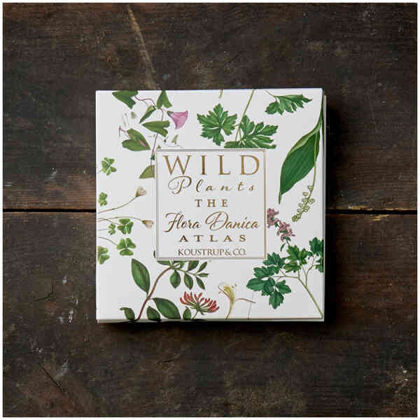 Square Cardfolder Wild Plants 8 Cards  W/Envelopes
